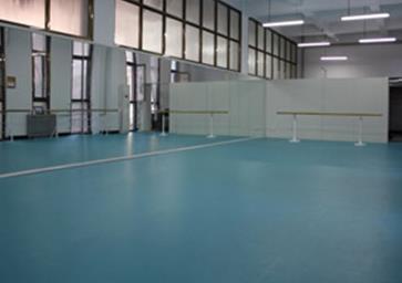 新乡塑胶地板适合哪些场所？