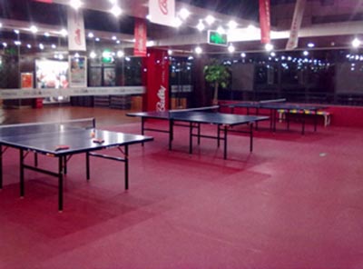 新乡乒乓球专用地板